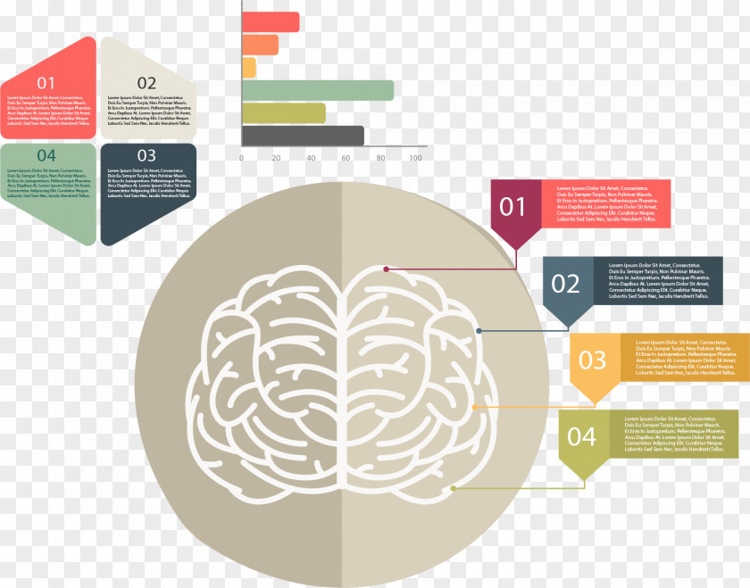 Brain Partitioning Step Catalog Disk Euclidean Vector Icon PNG