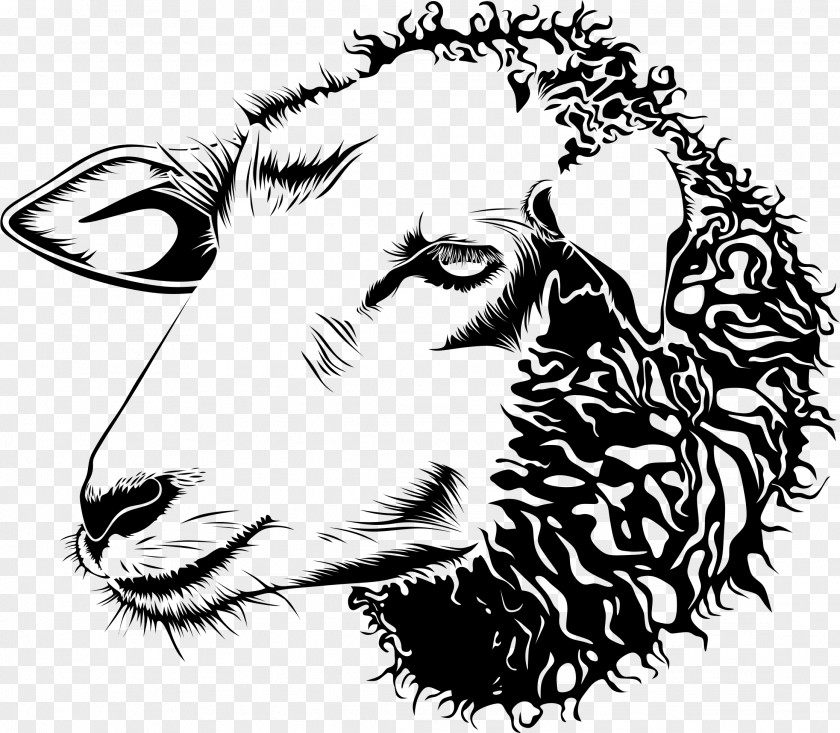 Cow Head Cotswold Sheep Goat Line Art Drawing Clip PNG
