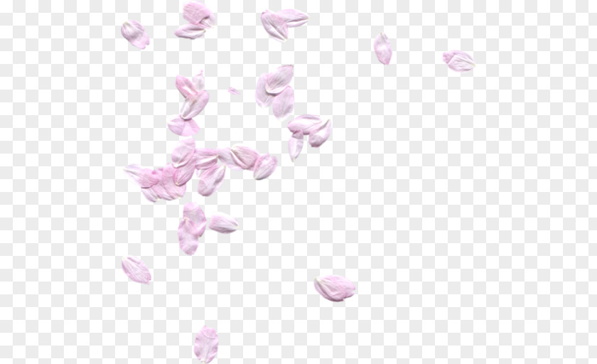 Flower Petal PNG