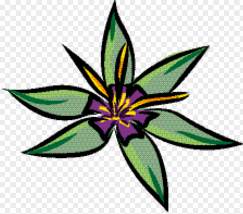 Hemp Family Plant Flowers Background PNG