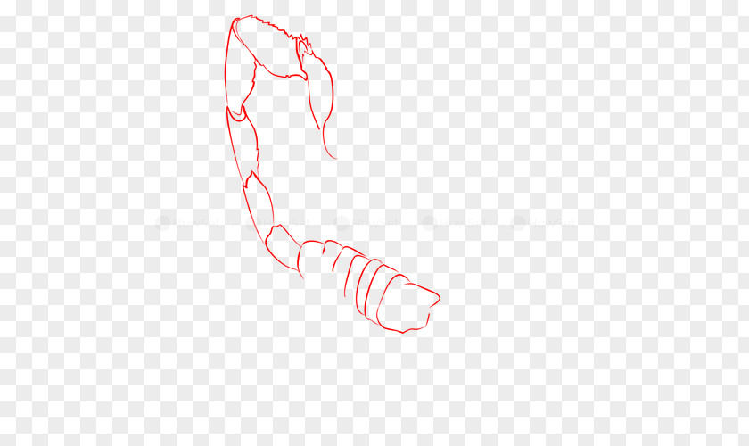 SCORPION CARTOON Drawing Finger Scorpion Clip Art PNG