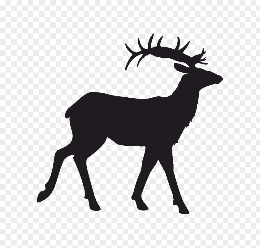 Deer Reindeer Antler Clip Art PNG