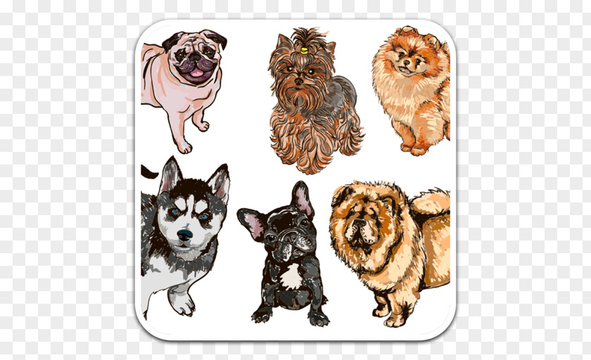 Design Pomeranian Siberian Husky Basenji Pug PNG