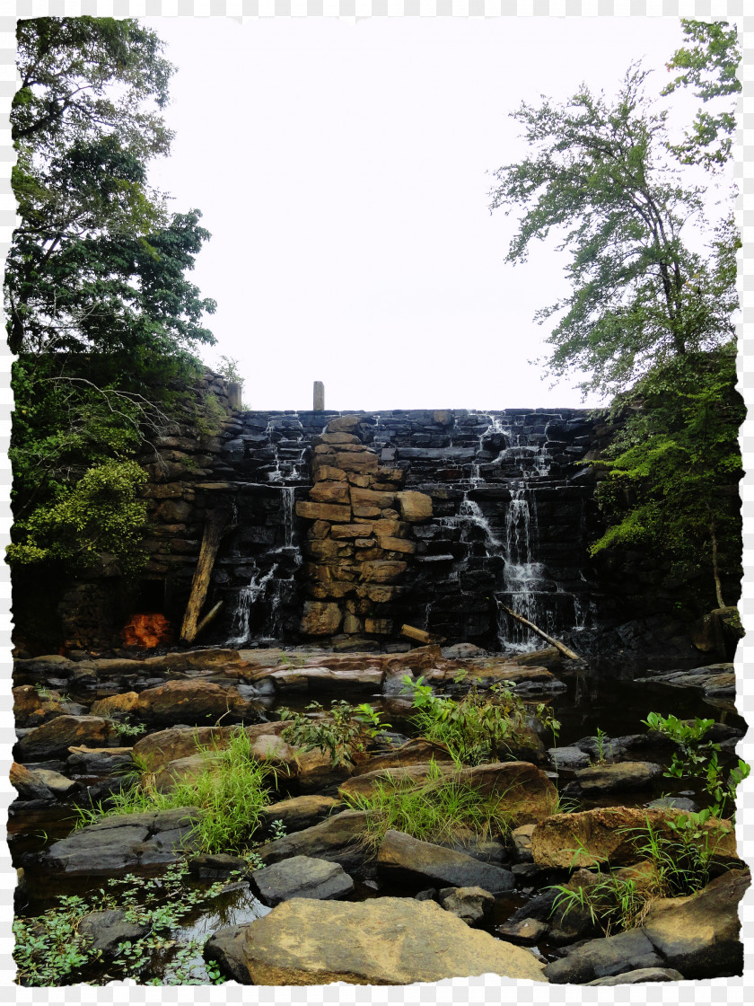 Forest Nature Reserve Water Resources Vegetation Waterfall PNG