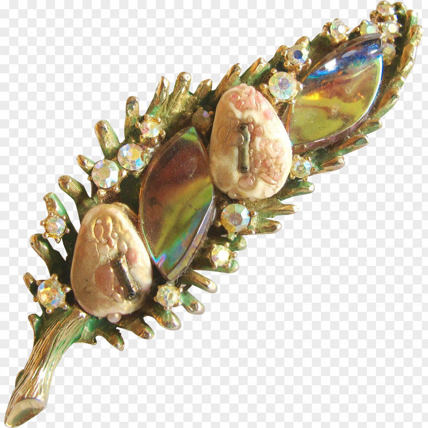 Gemstone Brooch PNG