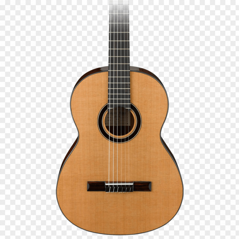 Acoustic Guitar Classical Acoustic-electric Ibanez PNG
