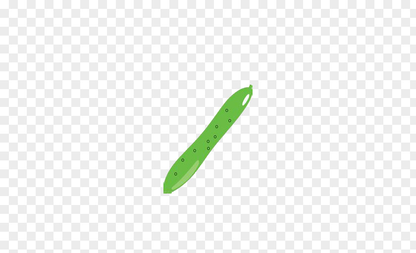 Cartoon Cucumber Vegetable Pepino PNG