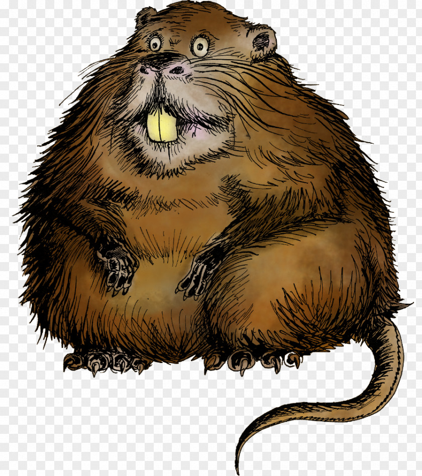 Copy Coypu Rodent Beaver Animal PNG
