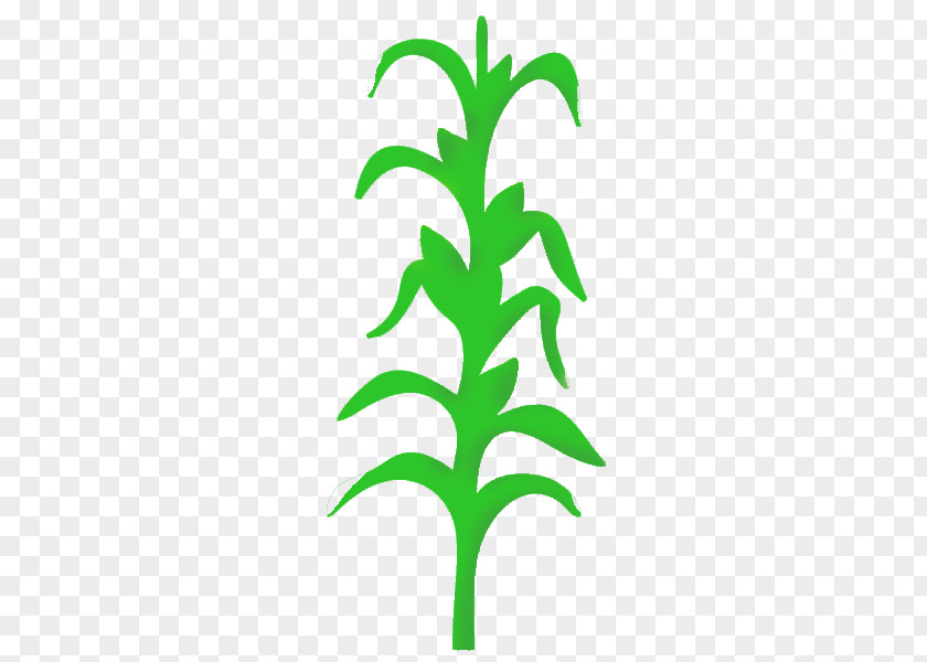Corn Leaves Wall Decal Stencil Mural Painting PNG