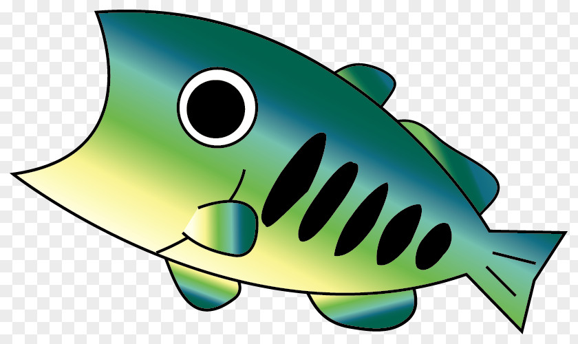 Fish Black Basses Angling Illustration PNG
