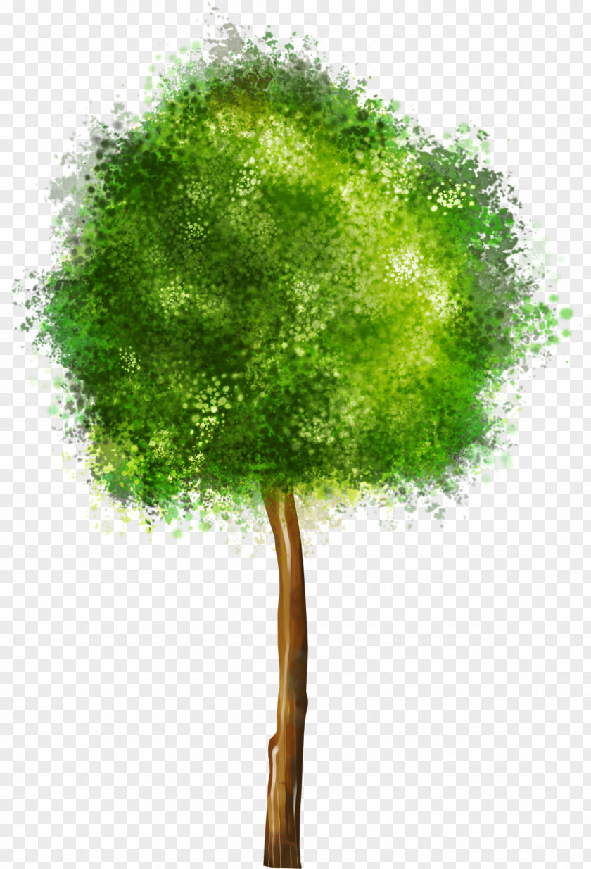 Garden Elements Tree Drawing Clip Art PNG