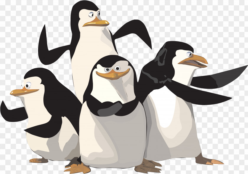Madagascar Penguins Film Animated Series Animation PNG