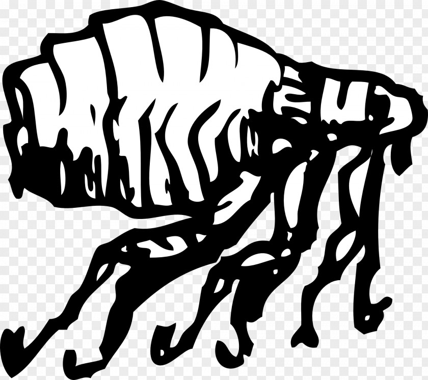 Parasitic Fleas Dog Flea Human PNG