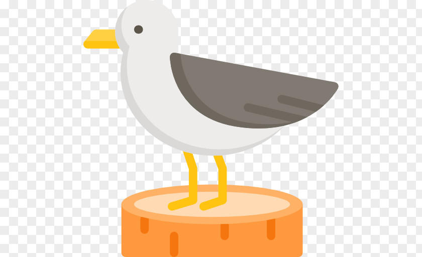 Seagull Clip Art PNG