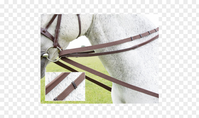 Draw Reins And Running Shire Horse Pony Equestrian PNG
