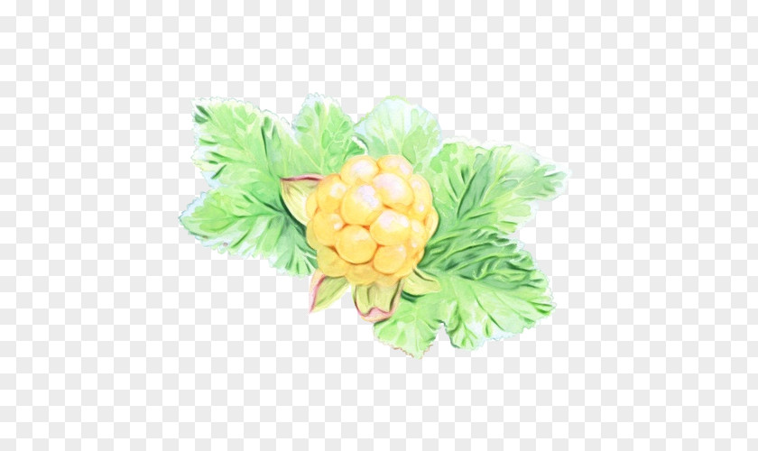 Flower Yellow Plant PNG