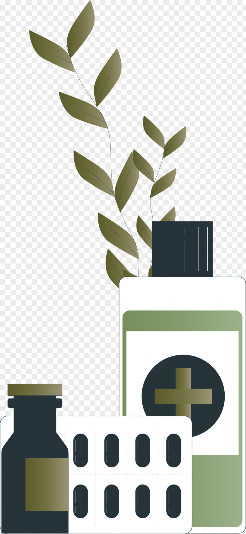 Flowerpot Font Plants Meter Biology PNG