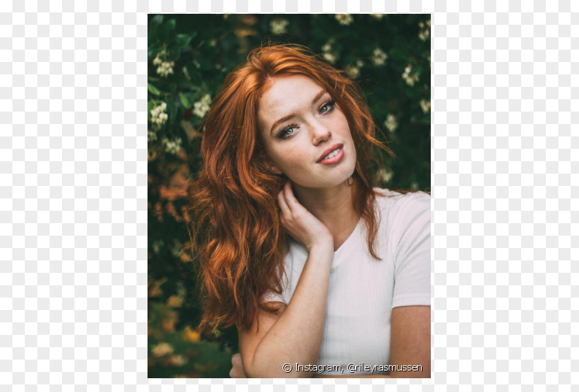 Hair Red Brown Blond PNG