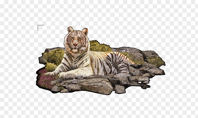 Tiger Lying Animation Lion PNG