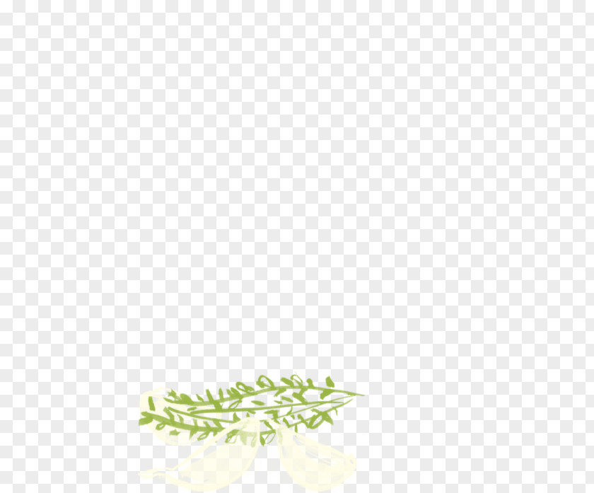 Turmeric Starch Twig Plant Stem Graphics Leaf Flower PNG