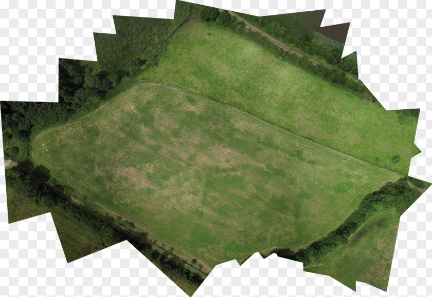 Grass Aerial Roof Leaf PNG