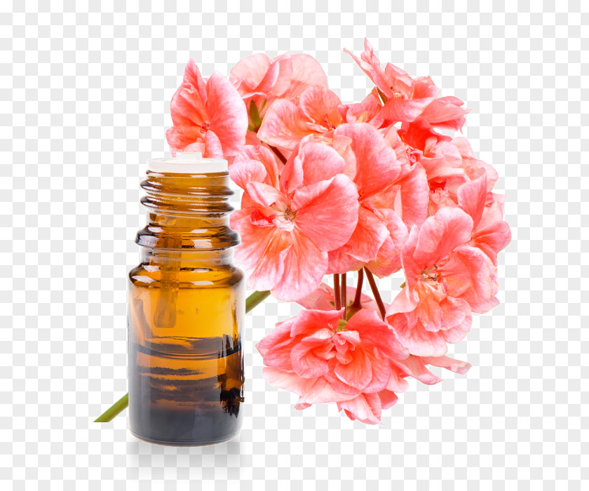 Oil Bourbon Geranium Sweet Scented Essential Aroma Compound PNG