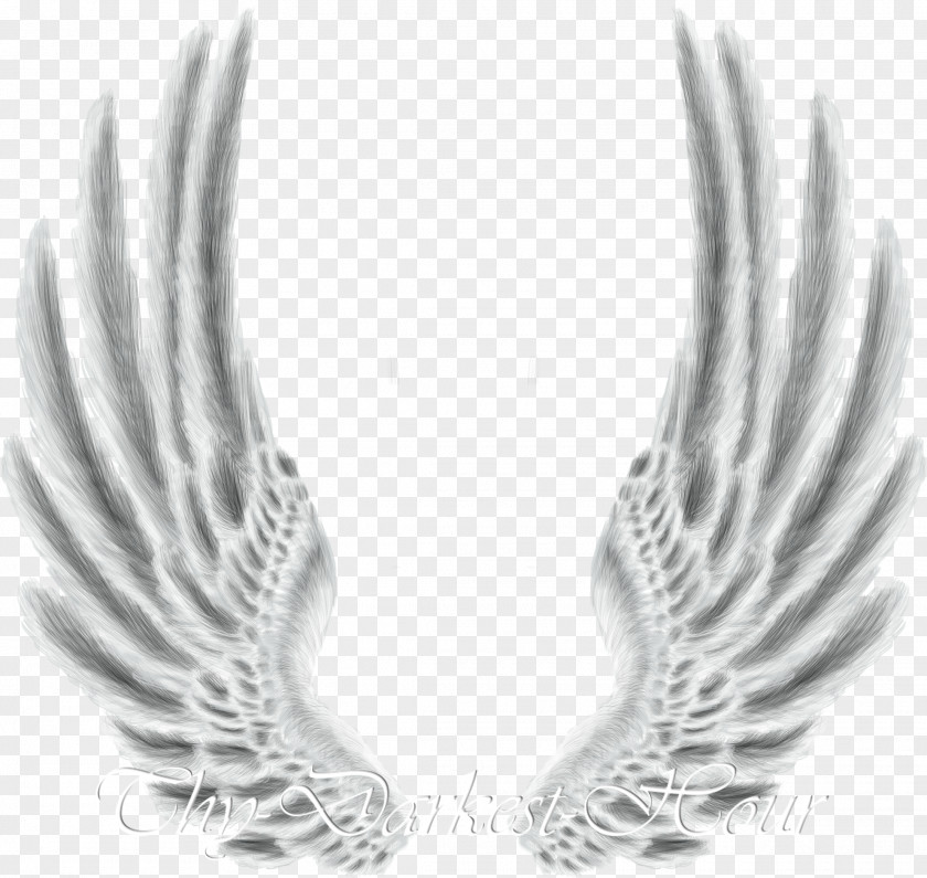 Wings Desktop Wallpaper Drawing Clip Art PNG
