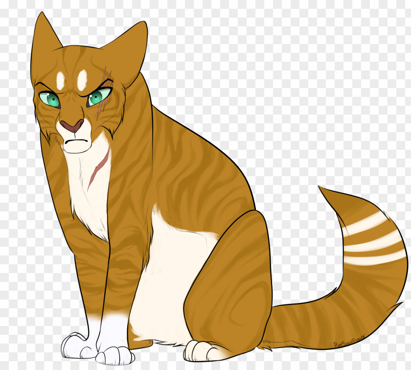 Cat Wildcat Whiskers Lion Digital Art PNG
