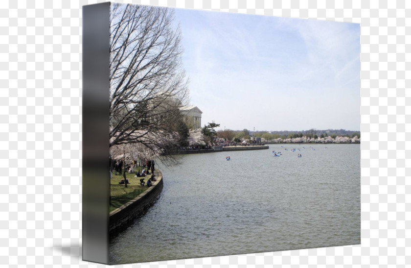 Cherry Blossom Festival Poster Loch Inlet Water Resources Stock Photography PNG