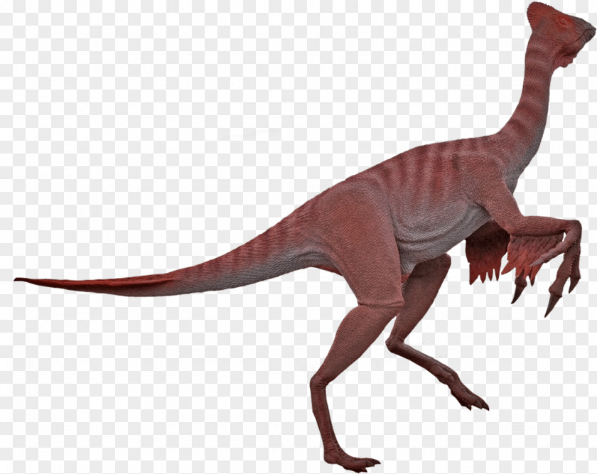 Dinosaur Velociraptor Moab Giants Chirostenotes Oviraptor PNG