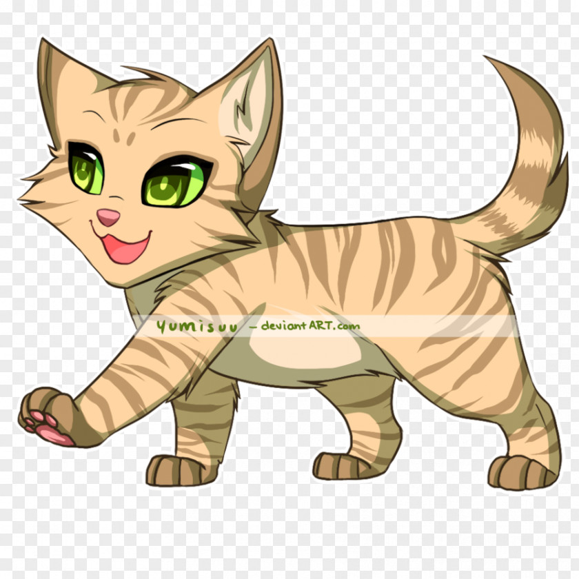 Kitten Tabby Cat Whiskers Wildcat PNG
