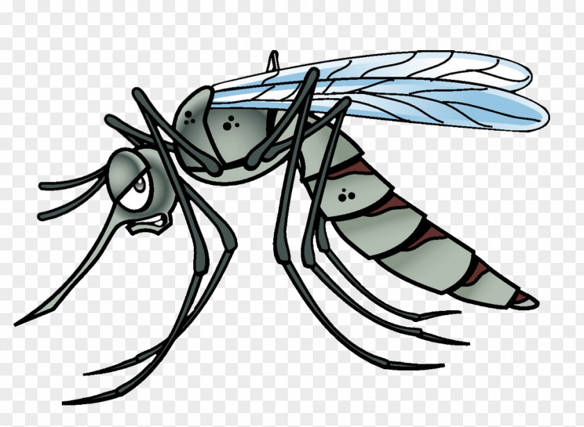 Large Mosquito Yellow Fever Insect Vector Cartoon PNG
