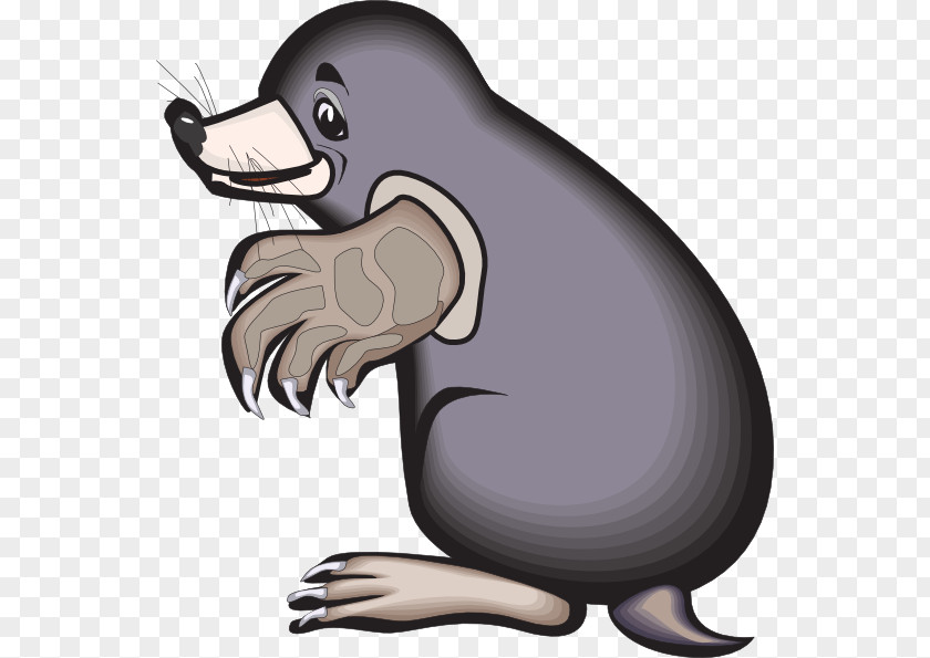 Mole Cliparts Cartoon Clip Art PNG