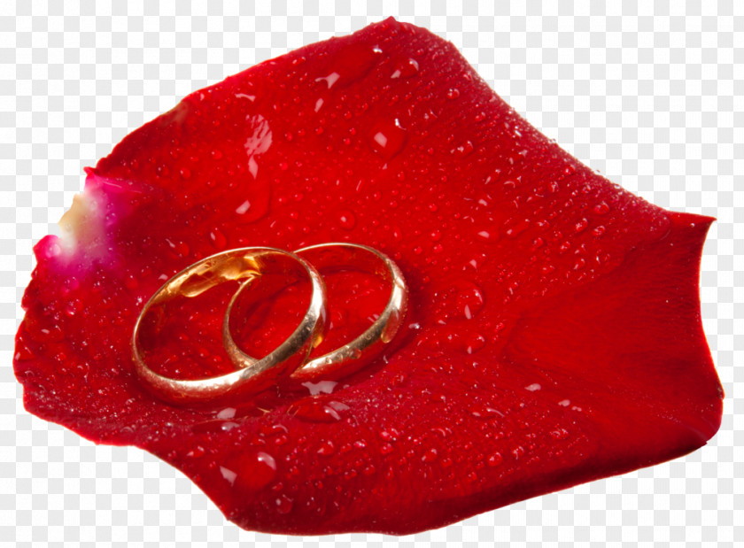 Artist Wedding Ring Engagement Clip Art PNG