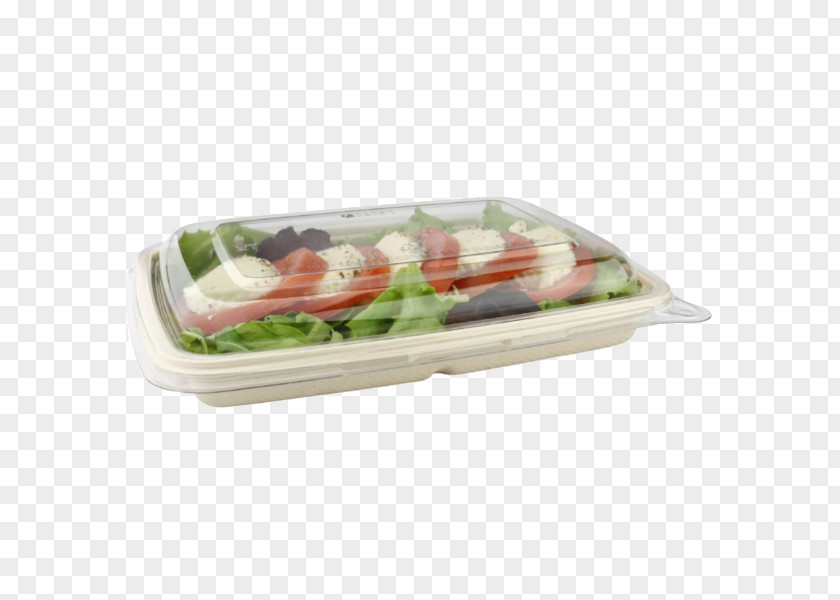 Box Take-out Japanese Cuisine Tray Packaging And Labeling Lid PNG