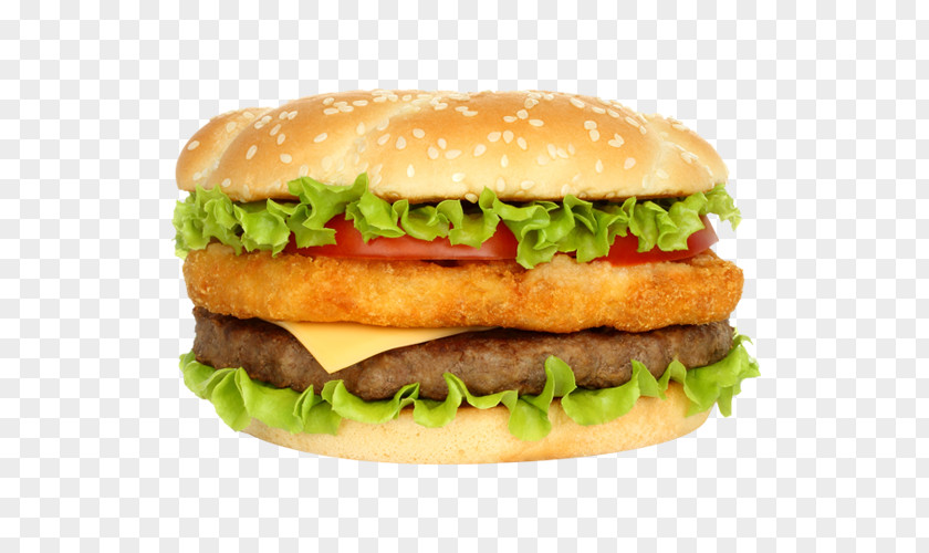 Burger And Sandwich Hamburger French Fries Potato Pancake Pizza Cheeseburger PNG