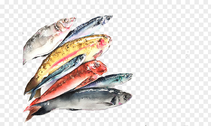 Colored Fish Pacific Saury Sardine Products Mackerel Oily PNG