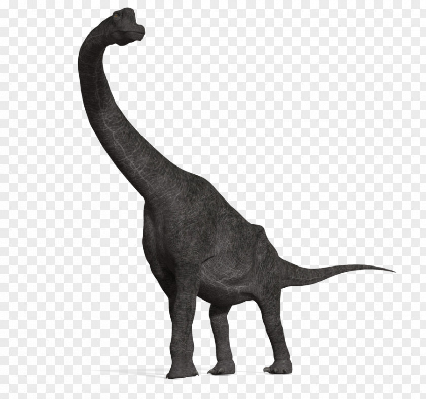 Dinosaur Brachiosaurus Apatosaurus Diplodocus Tyrannosaurus Plesiosauria PNG