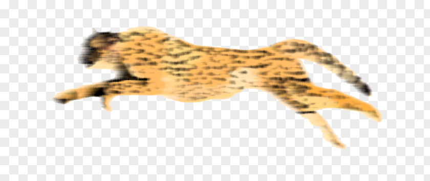 Leopard Cheetah Clip Art PNG