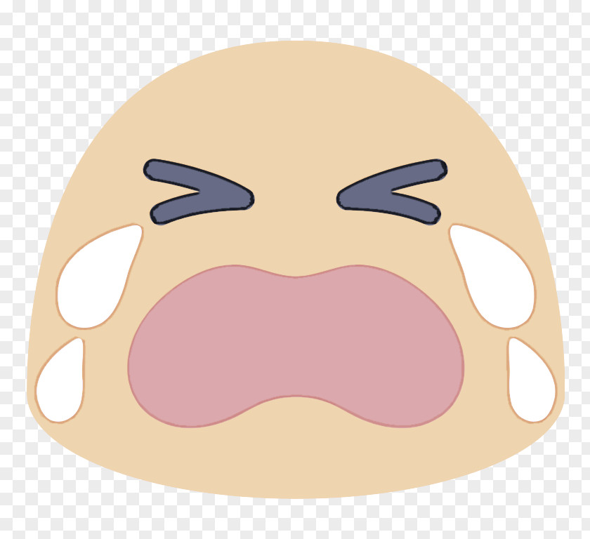 Lip Chin Face Nose Cartoon Facial Expression Head PNG