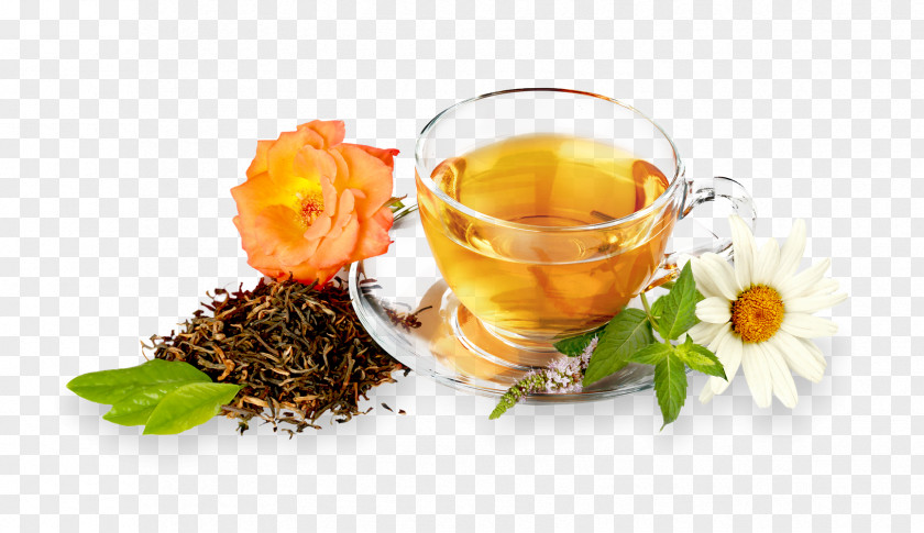 Tea Green Oolong Food Health PNG