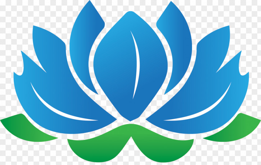 Buddhist Material Vector Brush Cleaning Eye Color PNG