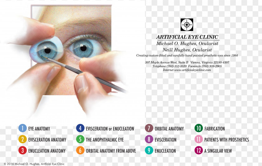 Clinic Human Eye Ocular Prosthesis Ocularist Care Professional PNG