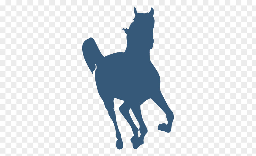 Dog Stallion Arabian Horse Pony Mustang PNG