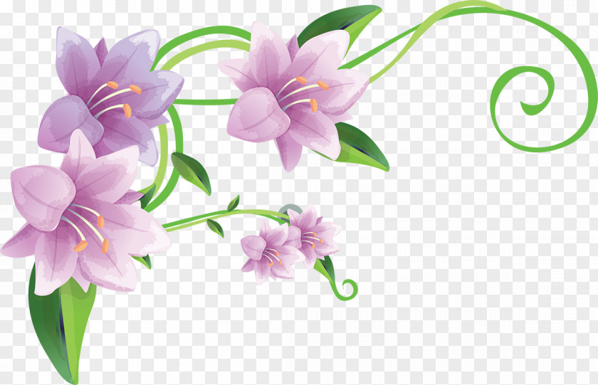 Lily Lilium PNG