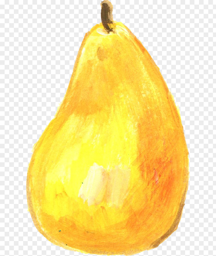 Pear Fruit Pitaya PNG