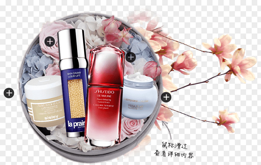 Perfume Beauty.m Cloud PNG