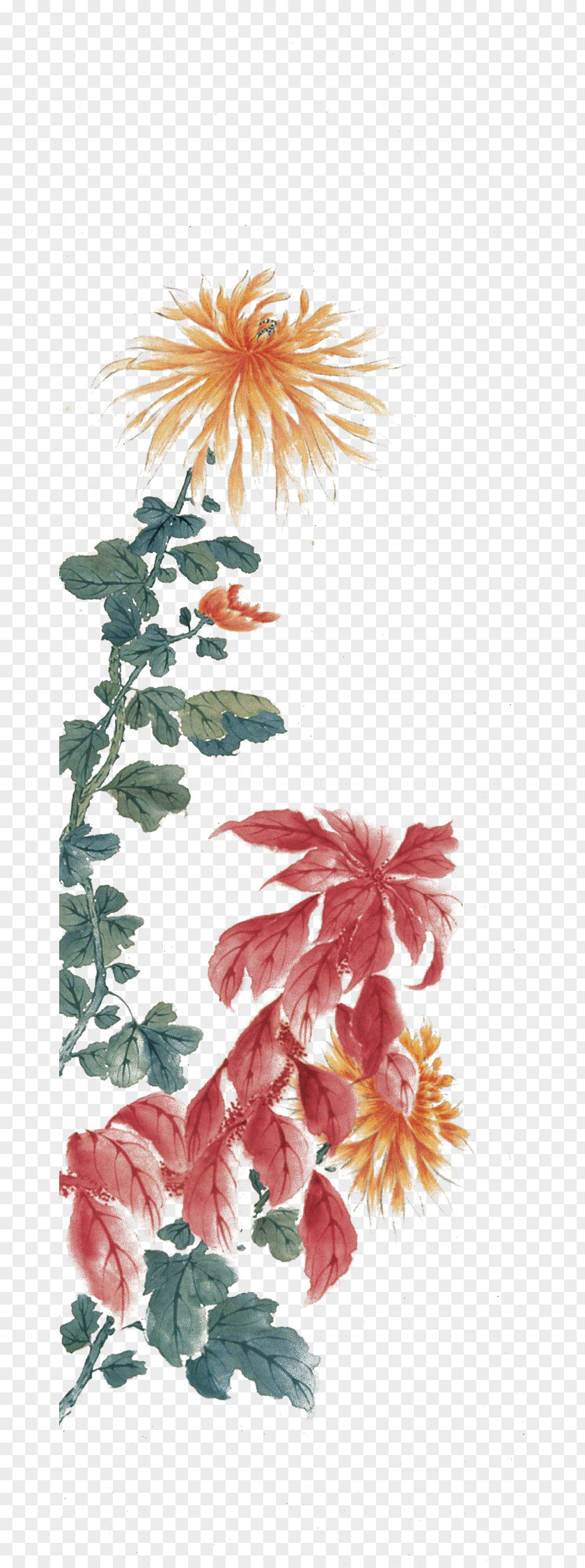 Water Painting Watercolor Chrysanthemum Floral Design Ink Wash PNG