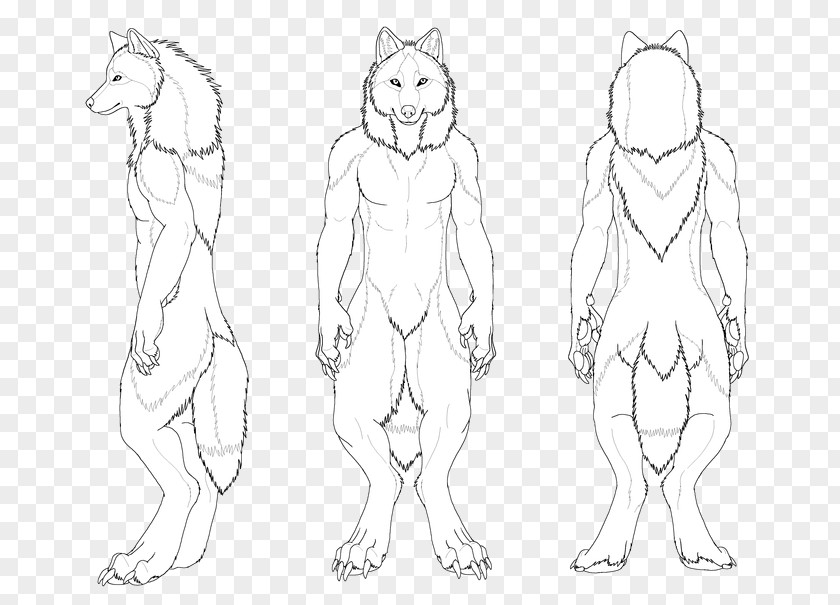Werewolf Line Art Drawing Character Sketch PNG