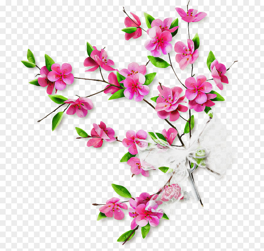 Dendrobium Pedicel Pink Flower Cartoon PNG